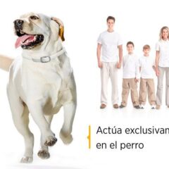 Scalibor Collar antiparasitario Deltametrina perros - Imagen 5