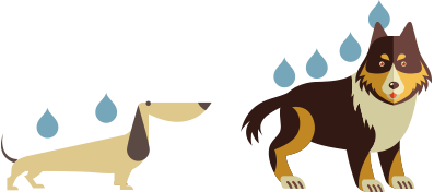 ScoobysFarma