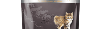 alimento para gatitos Dr Darwin Kitten evolution 1,5 kg