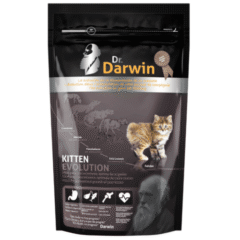 alimento para gatitos Dr Darwin Kitten evolution 1,5 kg