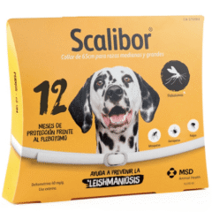 collar SCALIBOR 65 CM 12 MESES FLEBOTOMO