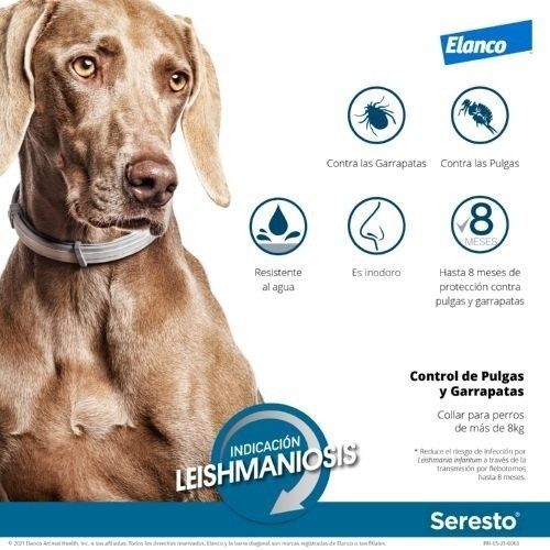 ScoobysFarma