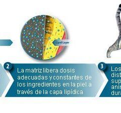 SERESTO gatos Collar Antiparasitario - Imagen 4