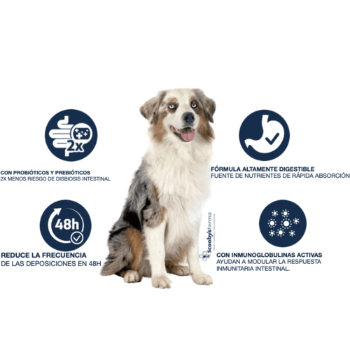 características advance gastroenteric canine perros