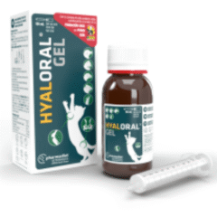 condroprotector para gatos hyaloral gatos gel