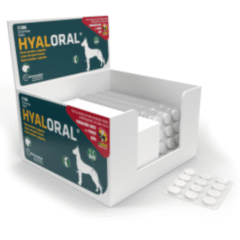 condroprotector para perros hyaloral razas grandes comprimidos divisibles