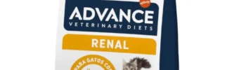 alimento para gatos con problemas renales advance renal gatos