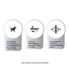 composición pienso para perros advance urinary low purine antes advance leishmaniasis perros