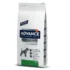 pienso para perros con leishmaniasis advance leishmaniasis advance urinary low purine