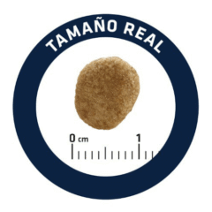 tamaño de la croqueta pienso advance weight balance gato