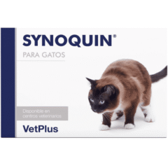 condroprotector para gatos synoquin gatos 90 cápsulas