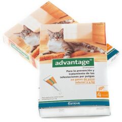 advantage pipetas antipulgas gatos formato 0-4kg