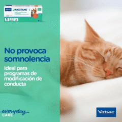 relajante natural para perros y gatos anxitane