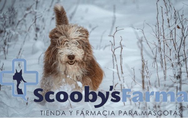 ScoobysFarma