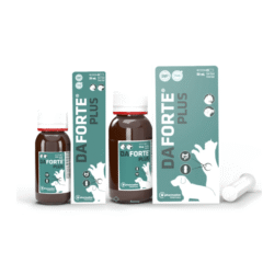 Diarreas perros y gatos, antidiarreico con probióticos y prebióticos para perros y gatos daforte plus gel