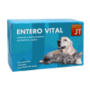 diarreas en perros y gatos jt enterovital 60 comprimidos