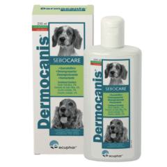 seborrea en perros dermatitis seborreica dermocanis sebocare champú 250 ml