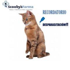 método de antiparasitarios externos para gatos pipeta
