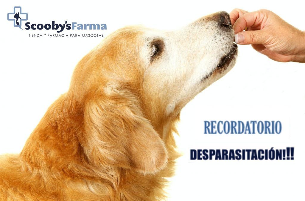 ScoobysFarma