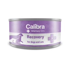 alimento húmedo para perros y gatos convalescientes calibra recovery vet diet 100 g