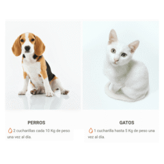 Modo de uso JT Tears Off polvo para perros y gatos