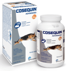 condroprotector para perros cosequin advanced Ha MSM 120 cápsulas