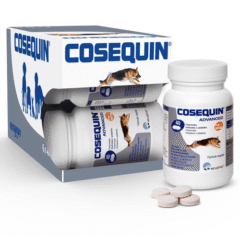 condroprotector para perros cosequin advanced Ha MSM 6x40 cápsulas