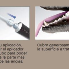 aplicación xmile-depot