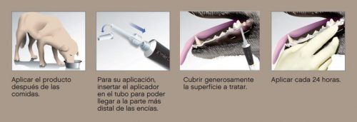 aplicación xmile-depot