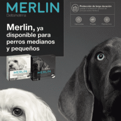 collar antiparasitario para perros Merlin