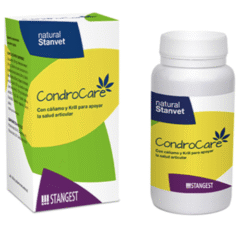 condroprotector para perros y gatos condrocare comprimidos