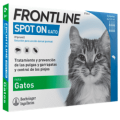 desparasitar gatos pipetas frontline spot on gatos 6 pipetas