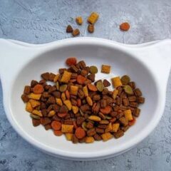 Gama Básica alimentación gatos