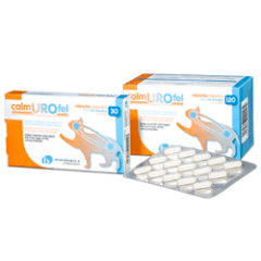 cistitis idiopática en gatos calmurofel cápsulas