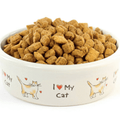 Dieta Veterinaria para gatos
