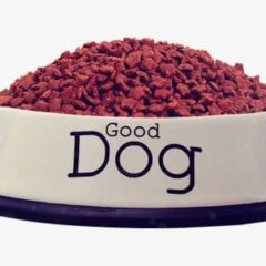 Dieta Veterinaria para perros