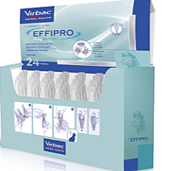 pipetas para gatos effipro gatos