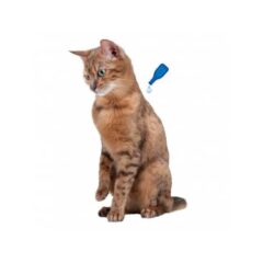 Pipetas antiparasitarias para gatos