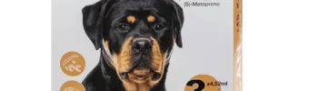 pipetas para perros dynacan pipetas perros de más de 40kg