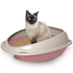 Recogida de Excrementos de gato