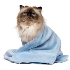 Acondicionador y suavizantes para gatos