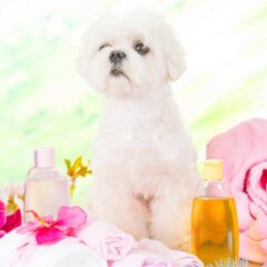 Acondicionador y suavizantes para perros