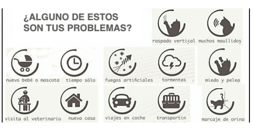 indicaciones cat comfort de beaphar para gatos scoobysfarma