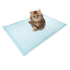 Empapadores y pañales para gatos