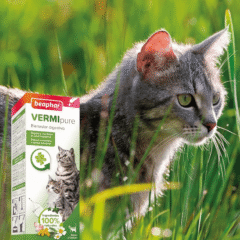 antiparasitario interno natural para gatos vermi pure gatos jarabe
