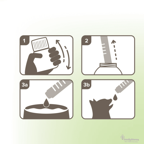 antiparasitario interno natural para gatos vermi pure gatos líquido 50 ml MODO DE USO
