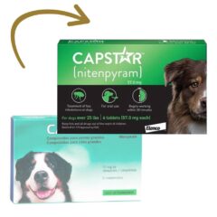 antipulgas para perros grandes capstar perros 6 comprimidos