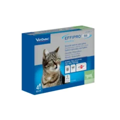 antiparasitario externo para gatos effipro duo gatos 4 pipetas