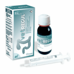 problemas intestinales en mascotas vet regul gel 50 ml