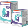 protección intestinal procanicare para perros